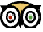 TripAdvisor-Vatican-City-Tours