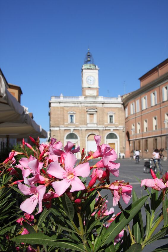 tours of the vatican